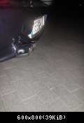 hamann esd