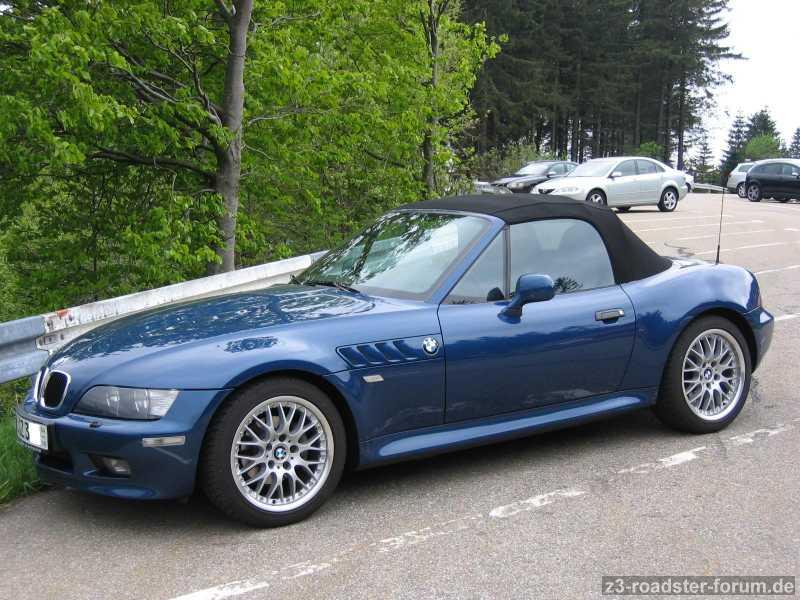 Zetti im Schwarzwald