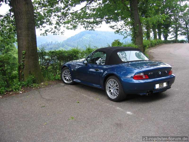 Zetti im Schwarzwald