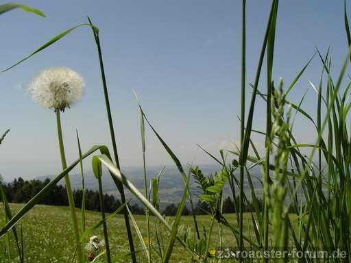 durchblick