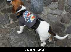 SOS-Stammi-Security 2010