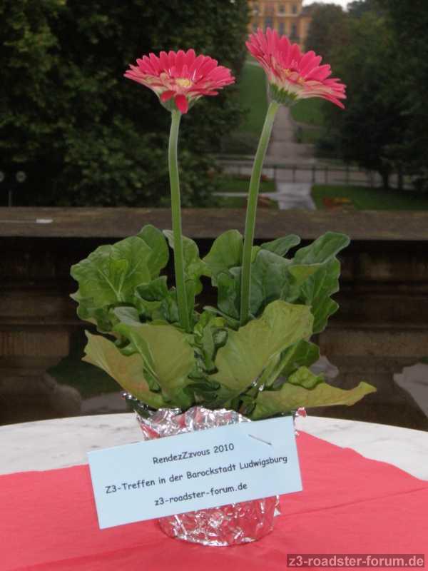 RendezZzvous 2010 - Z3-Treffen in der Barockstadt Ludwigsburg
