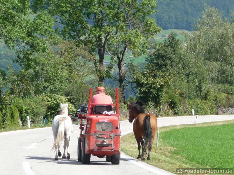 Salzseentour2008