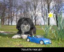 Osterglocken, Zetti und Balou
