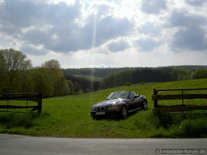 Z3 Wiese im WBL