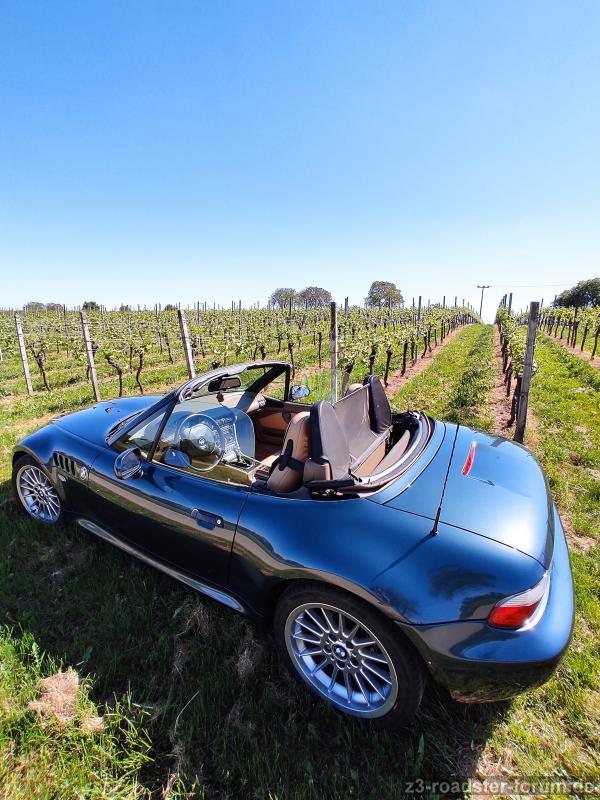 Orinoco in der Toscana Deutschlands