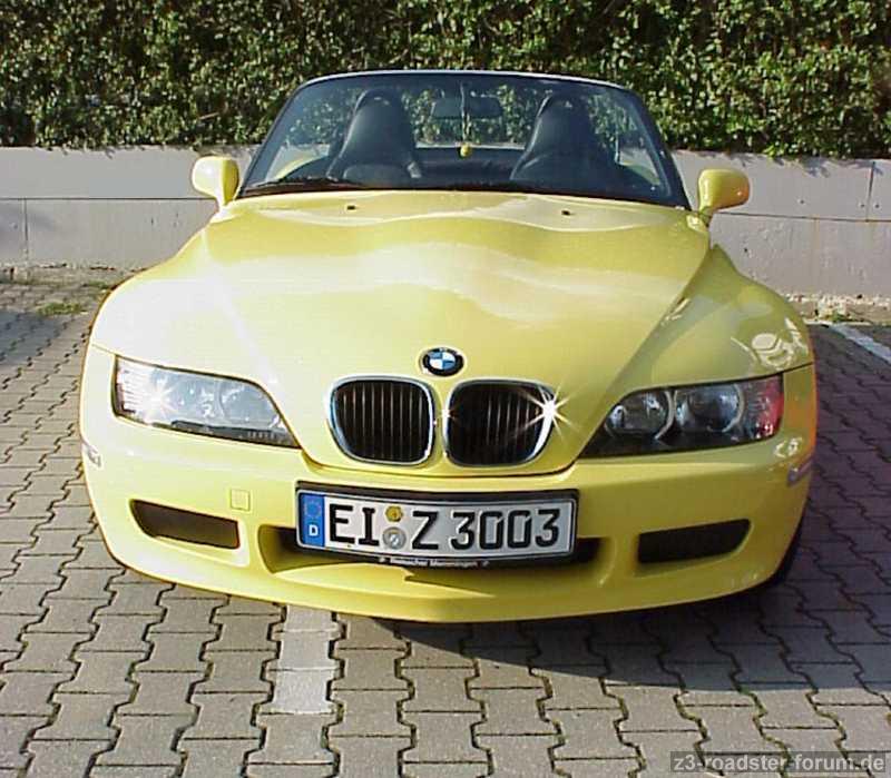 Yellow Nose