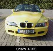 Yellow Nose