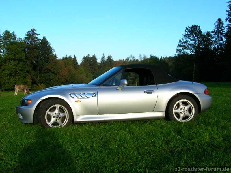 Z3 Mit Mütze