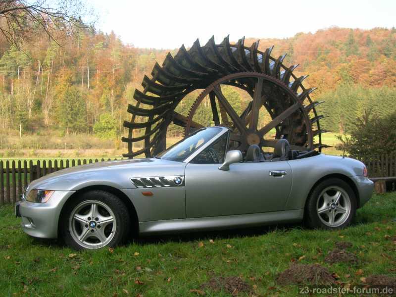 Zetti im Herbst
