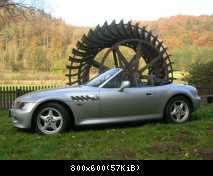 Zetti im Herbst