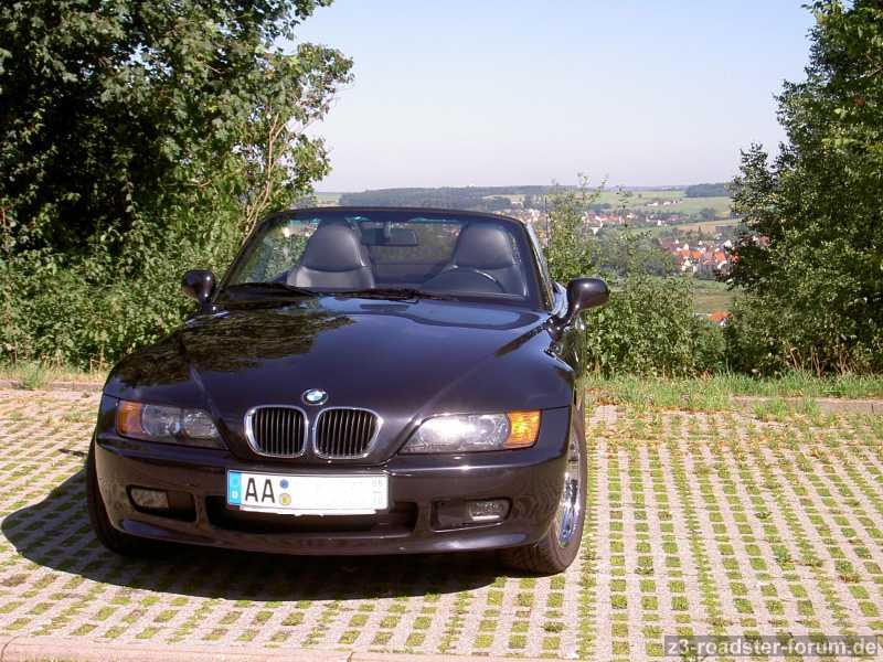 lupo2