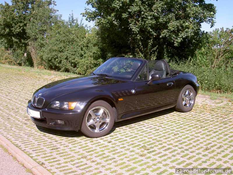 Lupo3