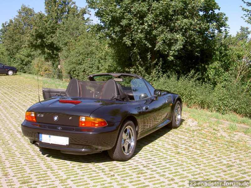 Lupo4