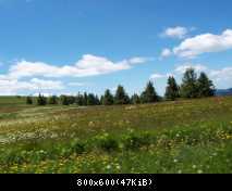 Elsass/Vogesen-Tour 2009