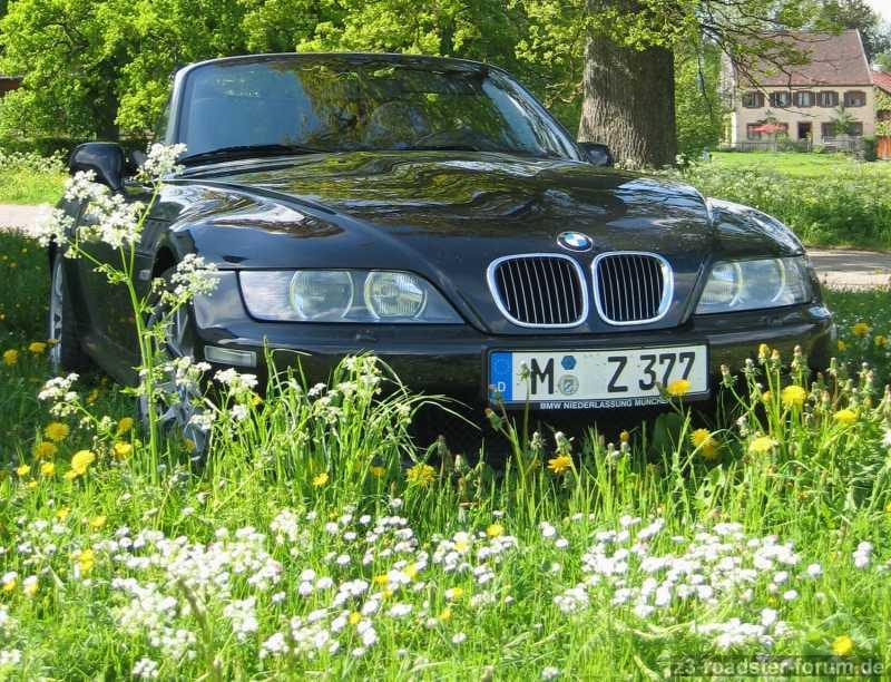 Sehnsucht nach Frühling....