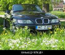 Sehnsucht nach Frühling....