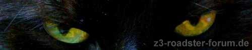 Buggy's Augen