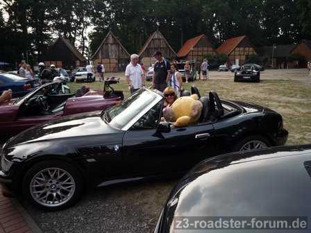 Bären fahren auch Z3