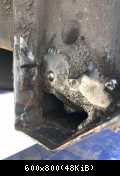 IMG 4269