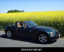 Rapsfeld 2