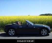 Rapsfeld 3