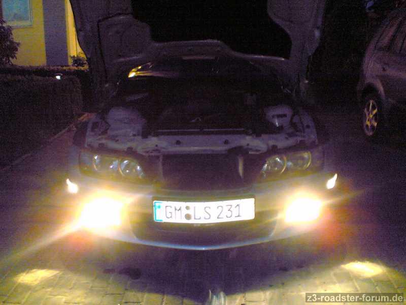 Zetti in der Nacht