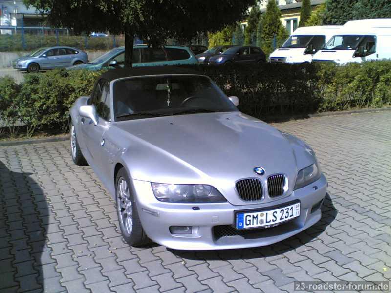 Zetti in der Sonne
