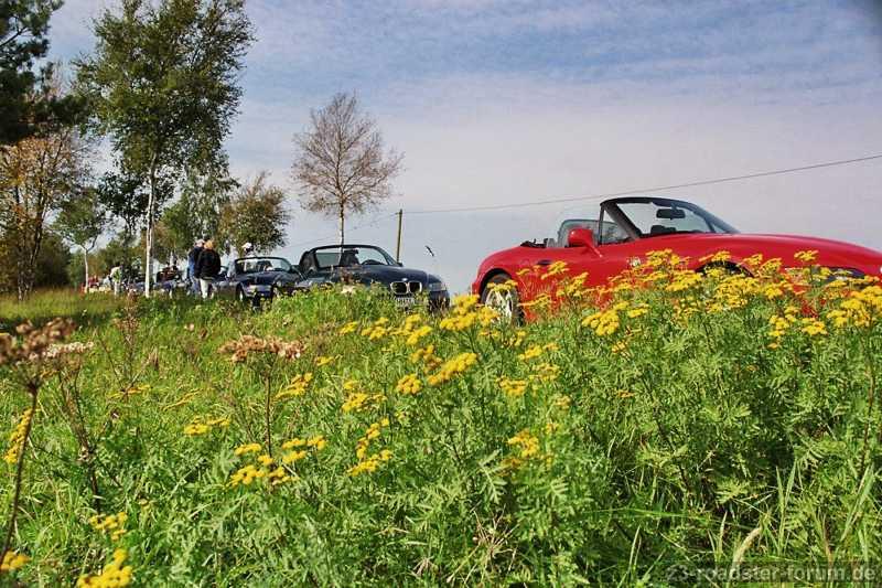 Zettis im Teufelsmoor