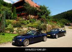 Im Schwarzwald