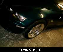 Schnitzer 5
