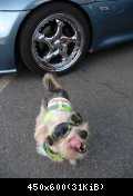 Saisonstart 2011