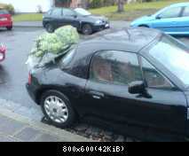 Weihnachtszetti 2