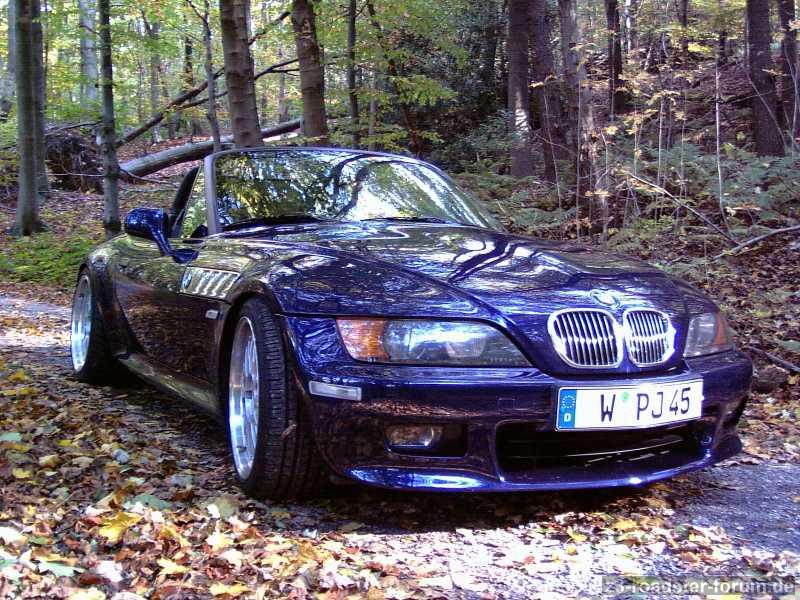 Ich glaub ich steh im Wald ...
