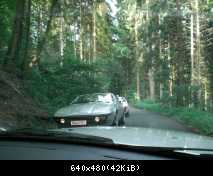 Begegnung im Wald...