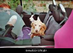 Auch wir fahren gerne offen