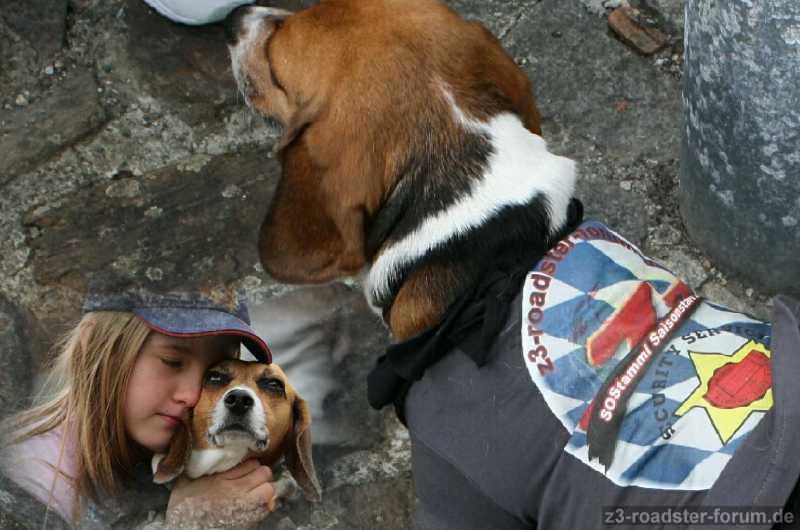 SOS-Stammi-Security 2010