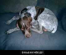 mein Joggingpartner :-)