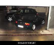 Unfall meiner grünen Bergkatze