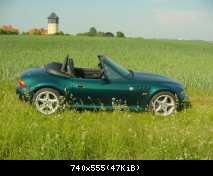 Die grüne Bergkatze