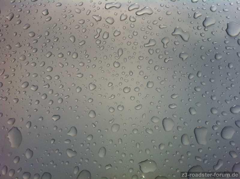Frisch gewachst ...