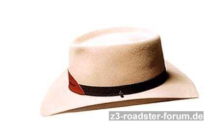 BMW Z3 Accessoires (1) Westernhut