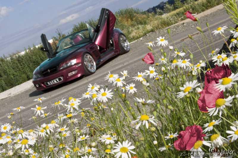 Der Frühling is endlich da ;)