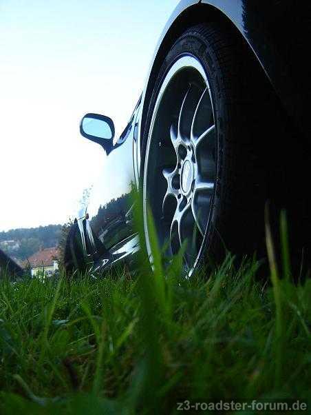 the perfekt shot - I
