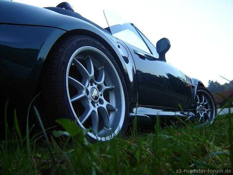 the perfekt shot - II