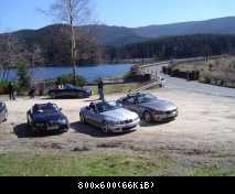 See