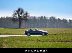 Die Vorboten des Frühlings