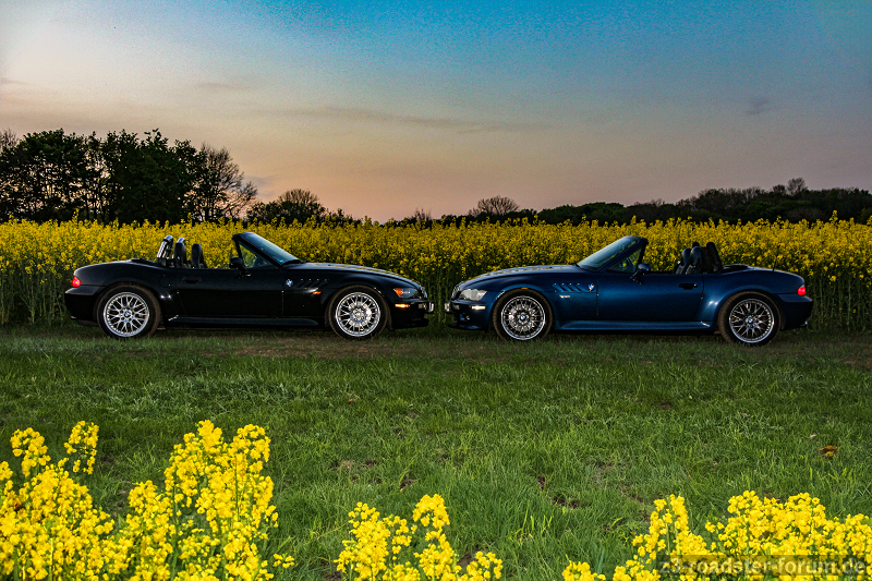 Black & Blue