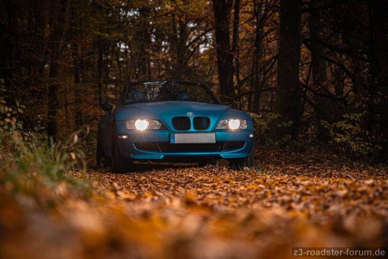 Autumn Vibes