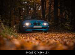 Autumn Vibes